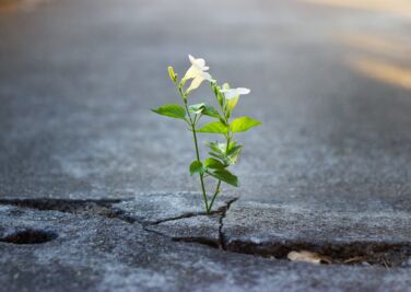 NARM Practitioner Training – Introductory Call (February)